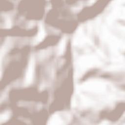 Leintz-Gatzaga Terrain Map