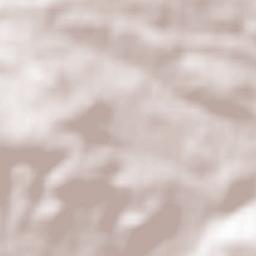 Dryanovo Terrain Map