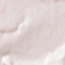 Dolni Chiflik Terrain Map