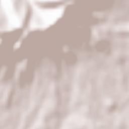 Obshtina Pravets Terrain Map