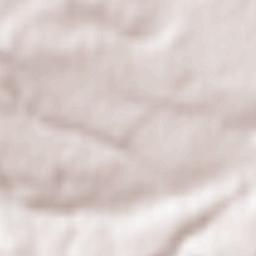 Obshtina Dolni Chiflik Terrain Map