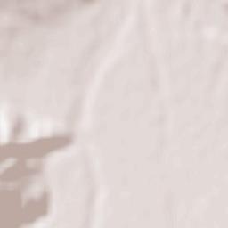 Tarskoye Terrain Map