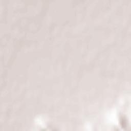 Scarlino Scalo Terrain Map