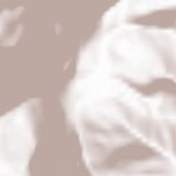 Cauterets Terrain Map