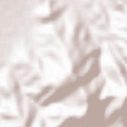 Scarlino Terrain Map