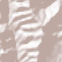 Palmiano Terrain Map