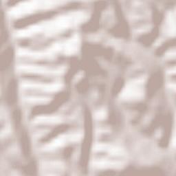 Castorano Terrain Map