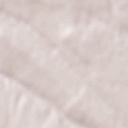 Obshtina Byala Terrain Map