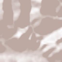 Murias de Paredes Terrain Map