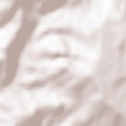 San Terenziano Terrain Map