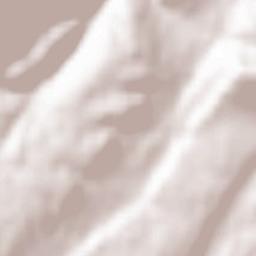 Dehesa de Montejo Terrain Map