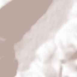 Saint-Lary-Soulan Terrain Map