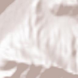 Etropole Terrain Map