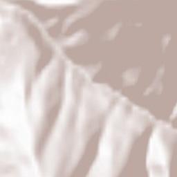 Dzhayrakh Terrain Map