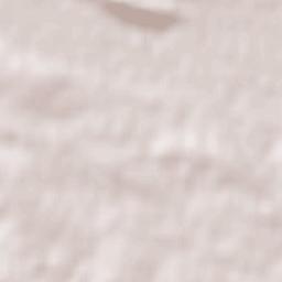 Castrejón de la Peña Terrain Map