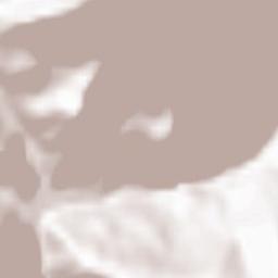 Lent’ekhi Terrain Map