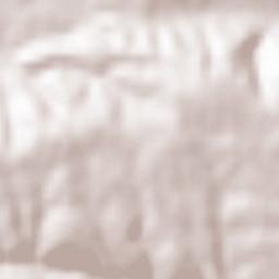 Soto y Amío Terrain Map