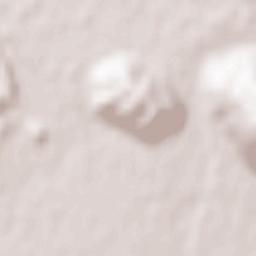 Nikšić Terrain Map