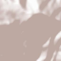 Obshtina Anton Terrain Map