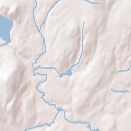 Brookline Terrain Map