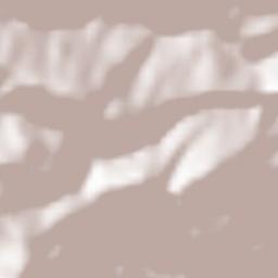 San-Martino-di-Lota Terrain Map