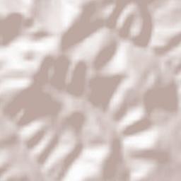 Bellante Terrain Map