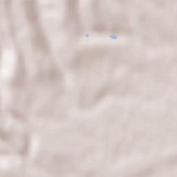 Mosciano Sant'Angelo Terrain Map