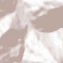 Andrijevica Terrain Map