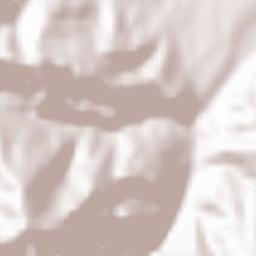 Granitogorsk Terrain Map