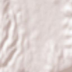 San Lorenzo Nuovo Terrain Map