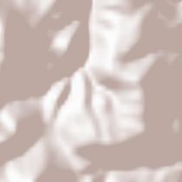 Poggiodomo Terrain Map