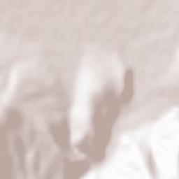 Obshtina Pirdop Terrain Map