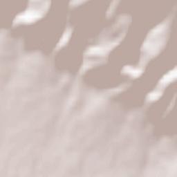 Obshtina Karlovo Terrain Map