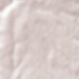 Provincia de León Terrain Map