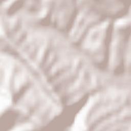 Cirauqui Terrain Map