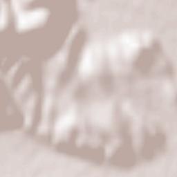 Obshtina Sliven Terrain Map