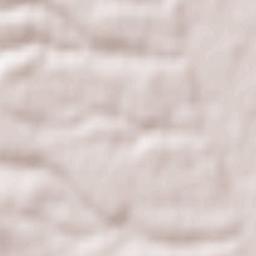 Sariegos Terrain Map