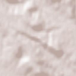 Buenavista de Valdavia Terrain Map