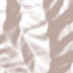 Département des Pyrénées-Orientales Terrain Map