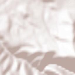 Castropodame Terrain Map