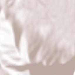 Leonessa Terrain Map