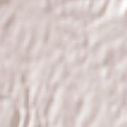 Piansano Terrain Map