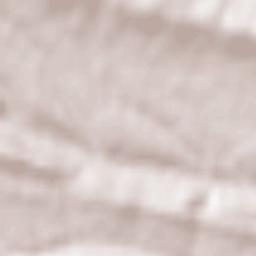 Brazuelo Terrain Map