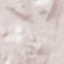 Benavides Terrain Map