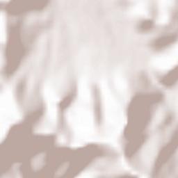 Calenzana Terrain Map