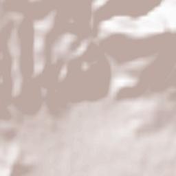 Rivodutri Terrain Map