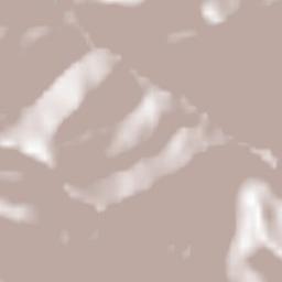 Tsumadinskiy Rayon Terrain Map