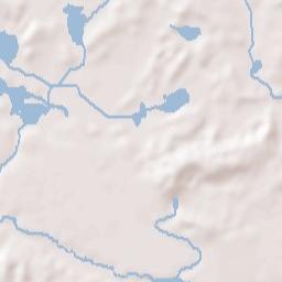 Pinckney Terrain Map