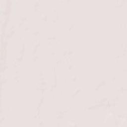 Pleasant Ridge Terrain Map