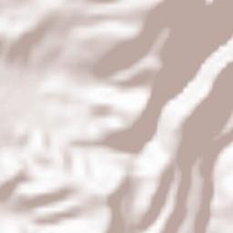 Cantalice Terrain Map